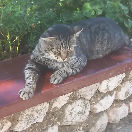 Appartement Nevenka Veliko Brdo (Makarska)
