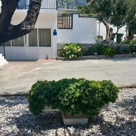 Nevenka *