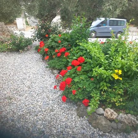 Neve 87 Apartament *