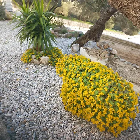 Neve 87 Apartamento Veliko Brdo (Makarska)